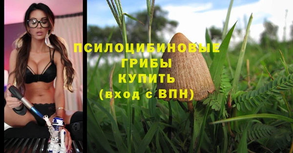 таблы Вязьма